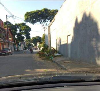 Denúncia de supressão de árvores na Rua Marechal Floriano Peixoto