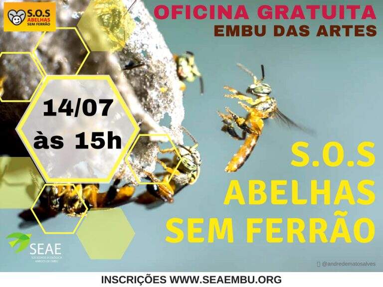 Oficina Gratuita – S.O.S Abelhas Sem Ferrão – 14/07 às 15h.